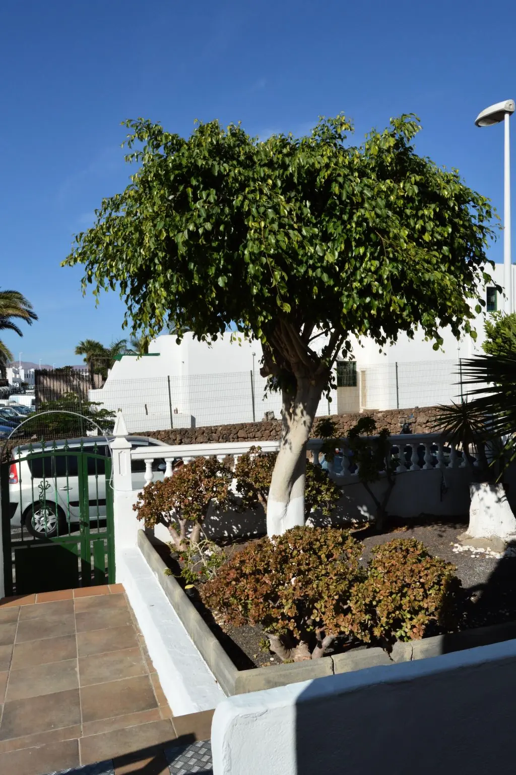 Résidence für 5 Personen ca. 65 m&sup2; in Puerto del Carmen, Lanzarote (Südküste von Lan