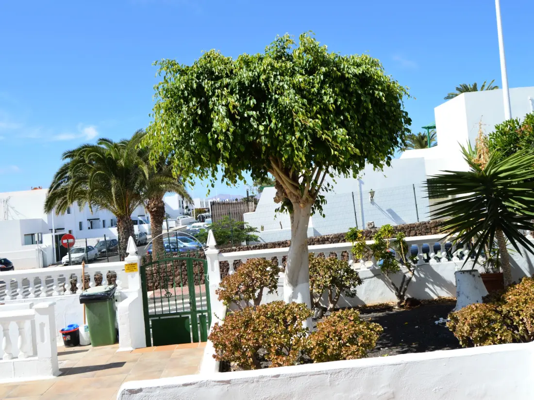 Résidence für 5 Personen ca. 65 m&sup2; in Puerto del Carmen, Lanzarote (Südküste von Lan
