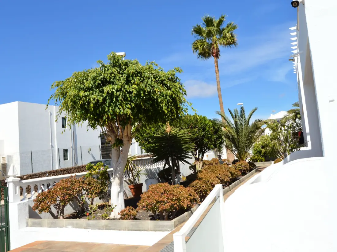 Résidence für 5 Personen ca. 65 m&sup2; in Puerto del Carmen, Lanzarote (Südküste von Lan