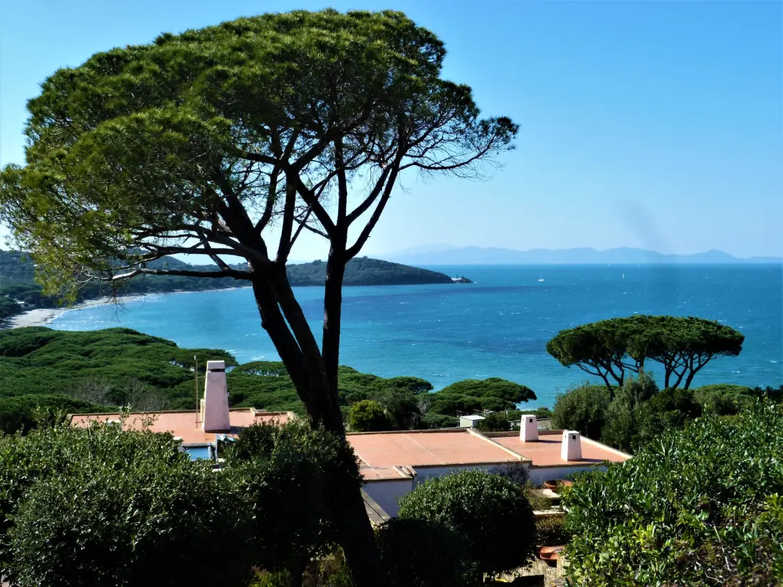 Maison de Vacances Punta Ala