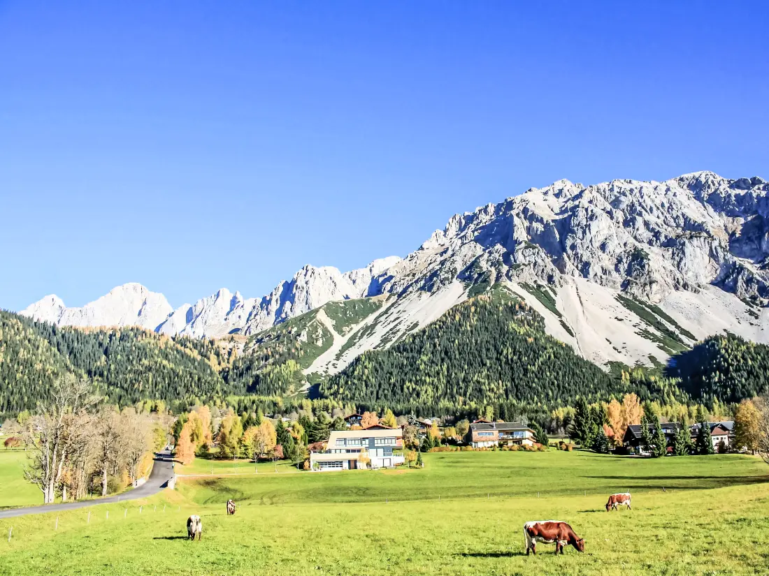 Maison de Vacances Ramsau am Dachstein