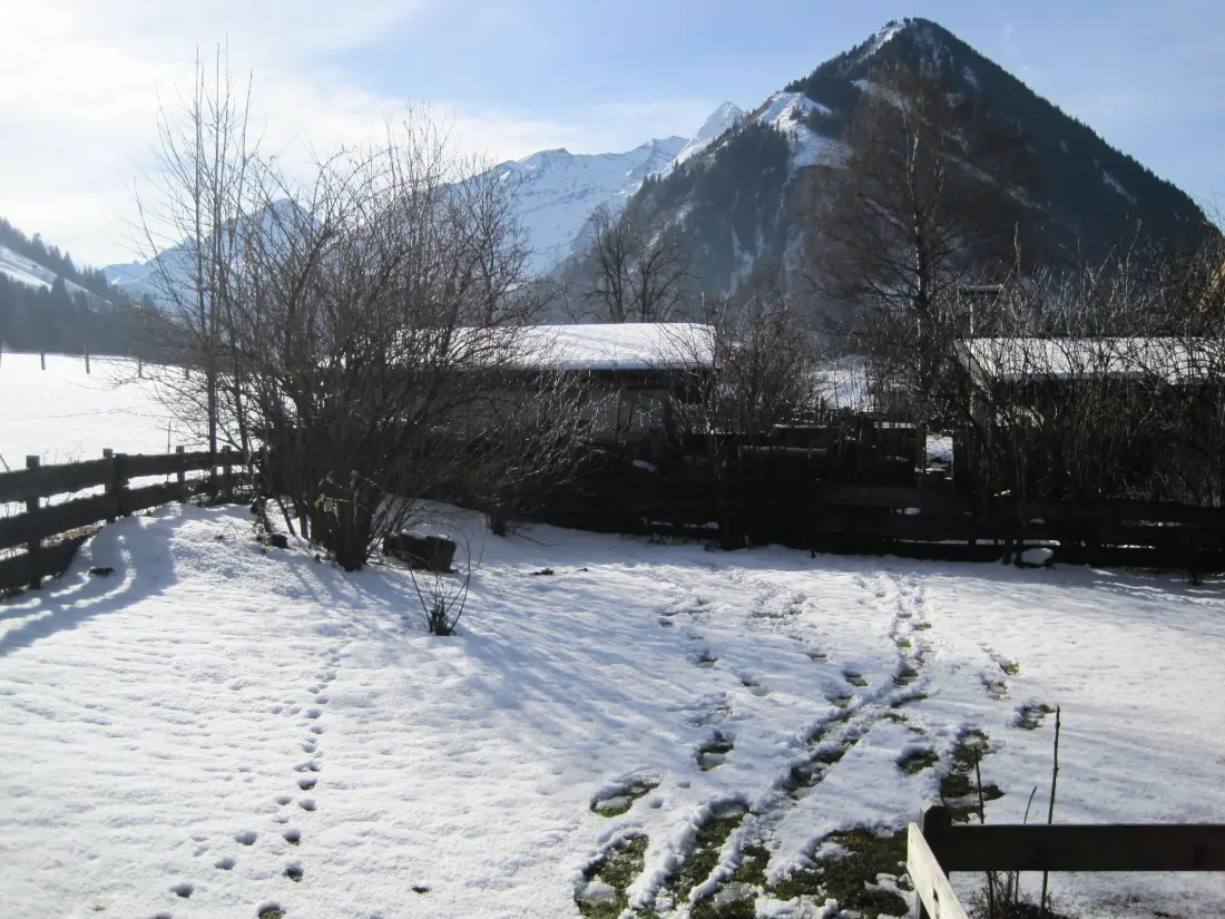Maison de Vacances Rauris
