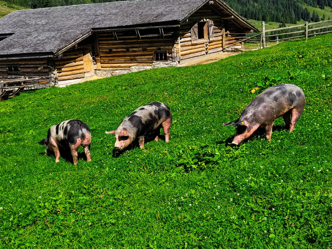 Location de Vacances Rauris
