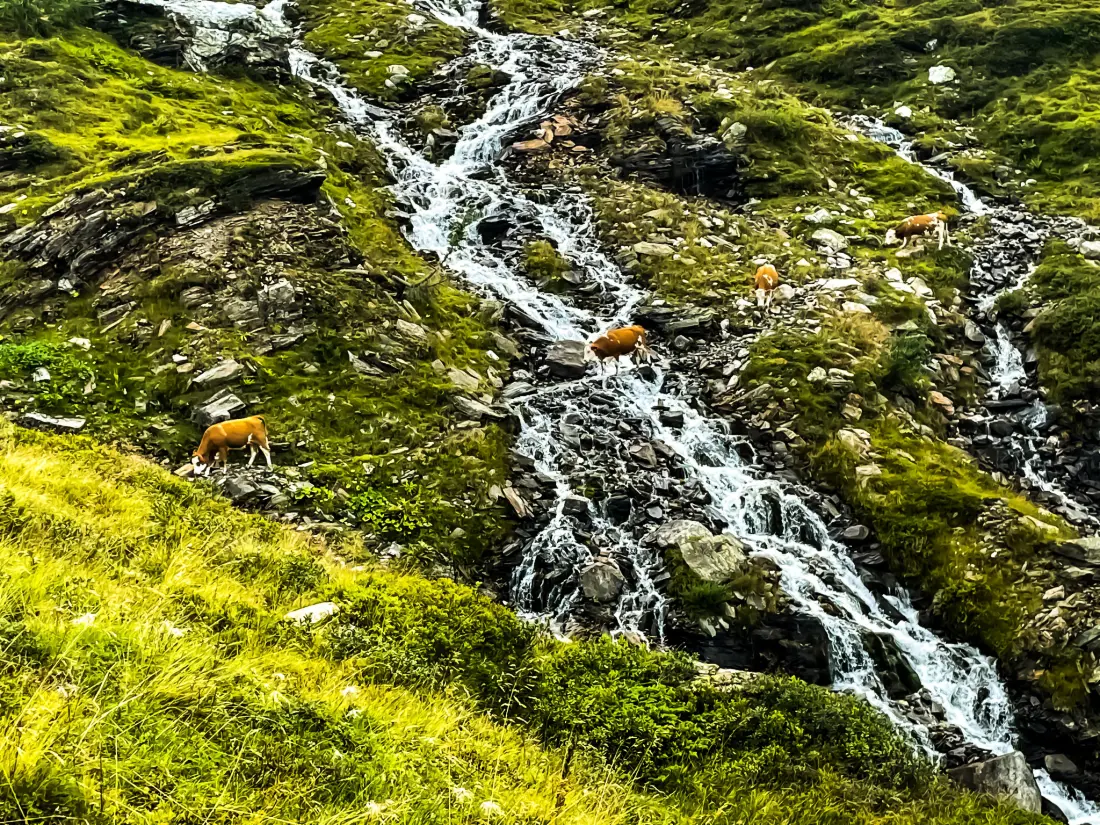 Location de Vacances Rauris