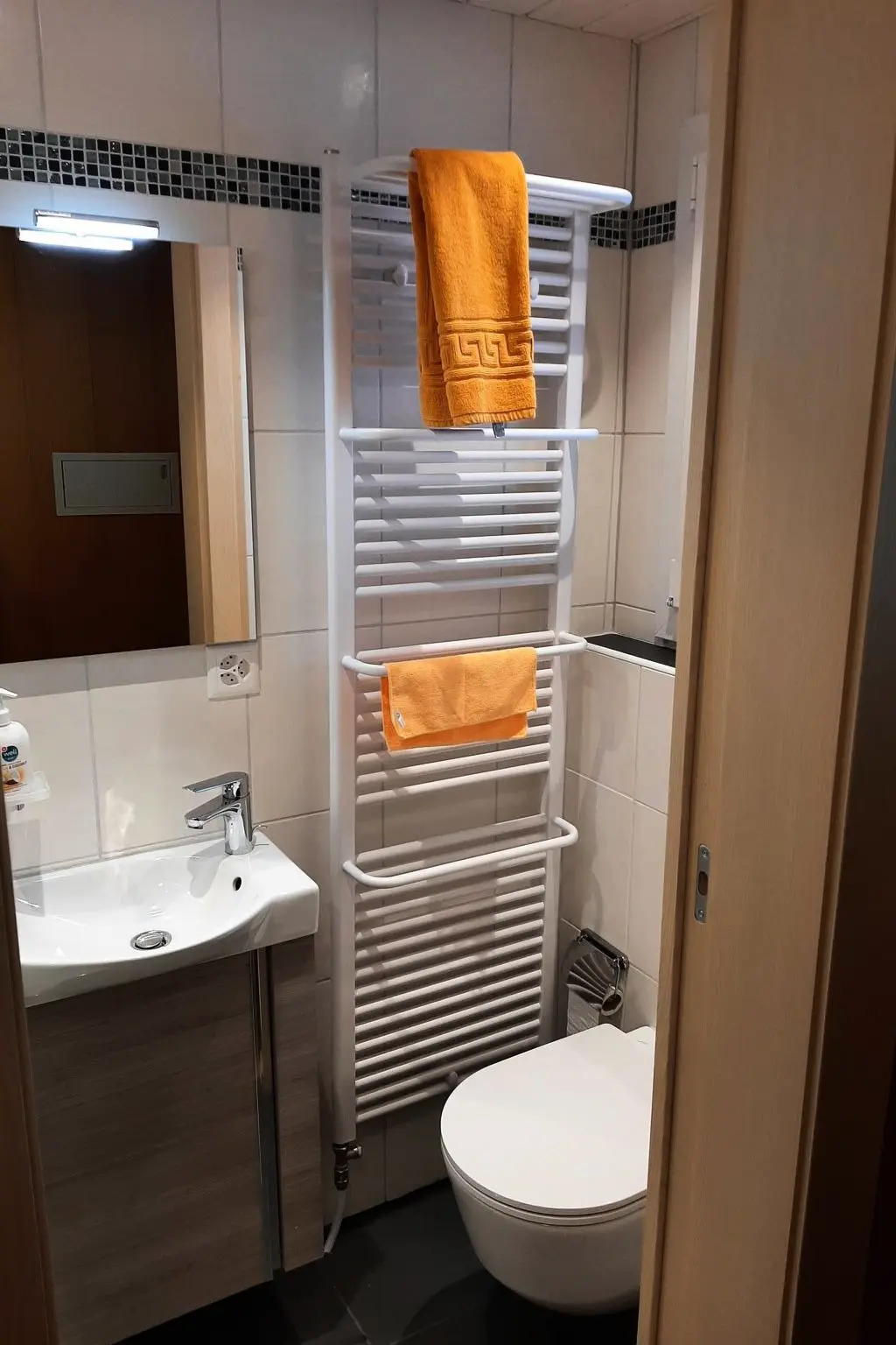 Résidence Abendrot 1. OG Süd-West Appartement/Fewo, Dusche oder Bad, WC