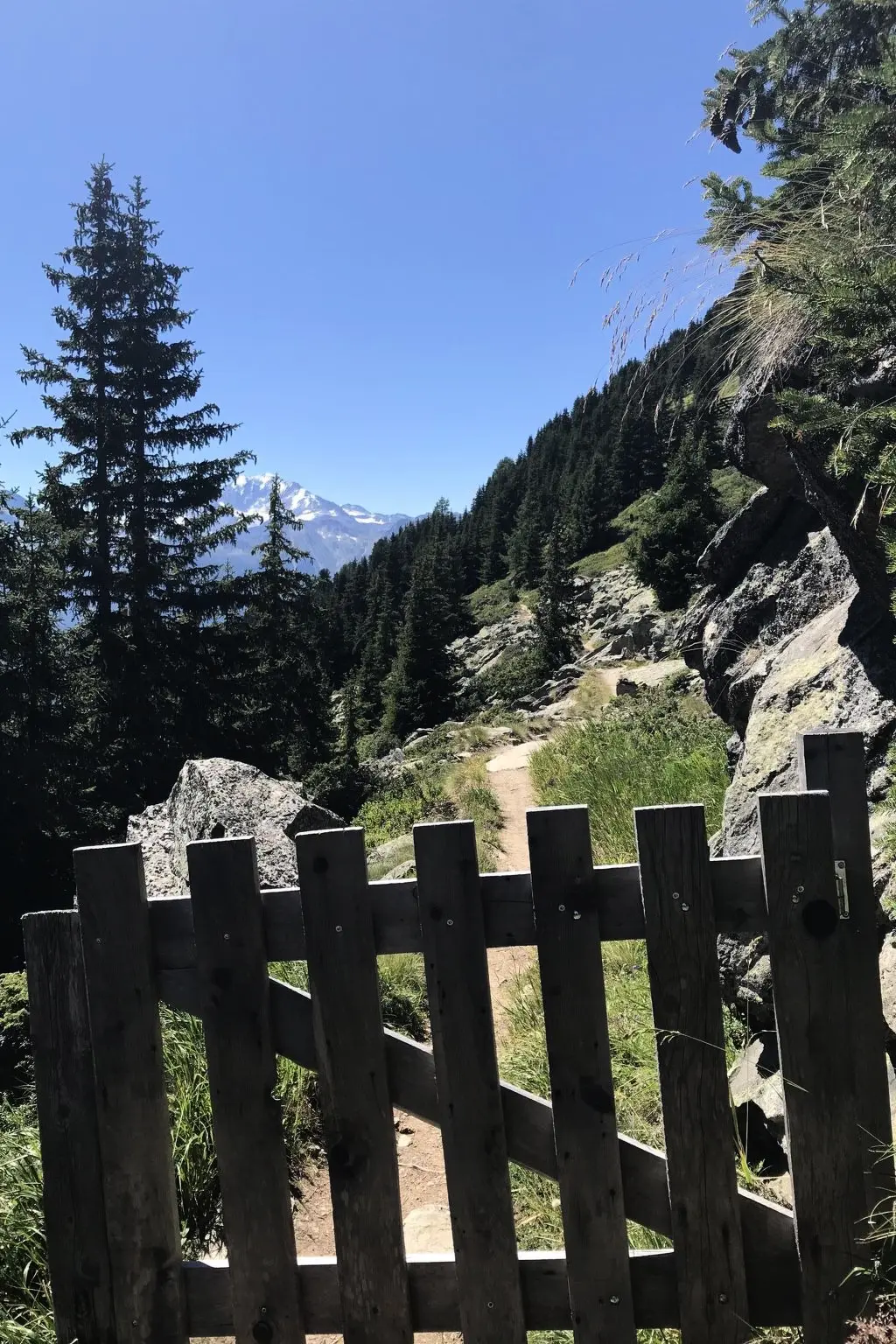 Résidence Almenrausch 1. OG Süd-Ost Appartement/Fewo, Bad, WC