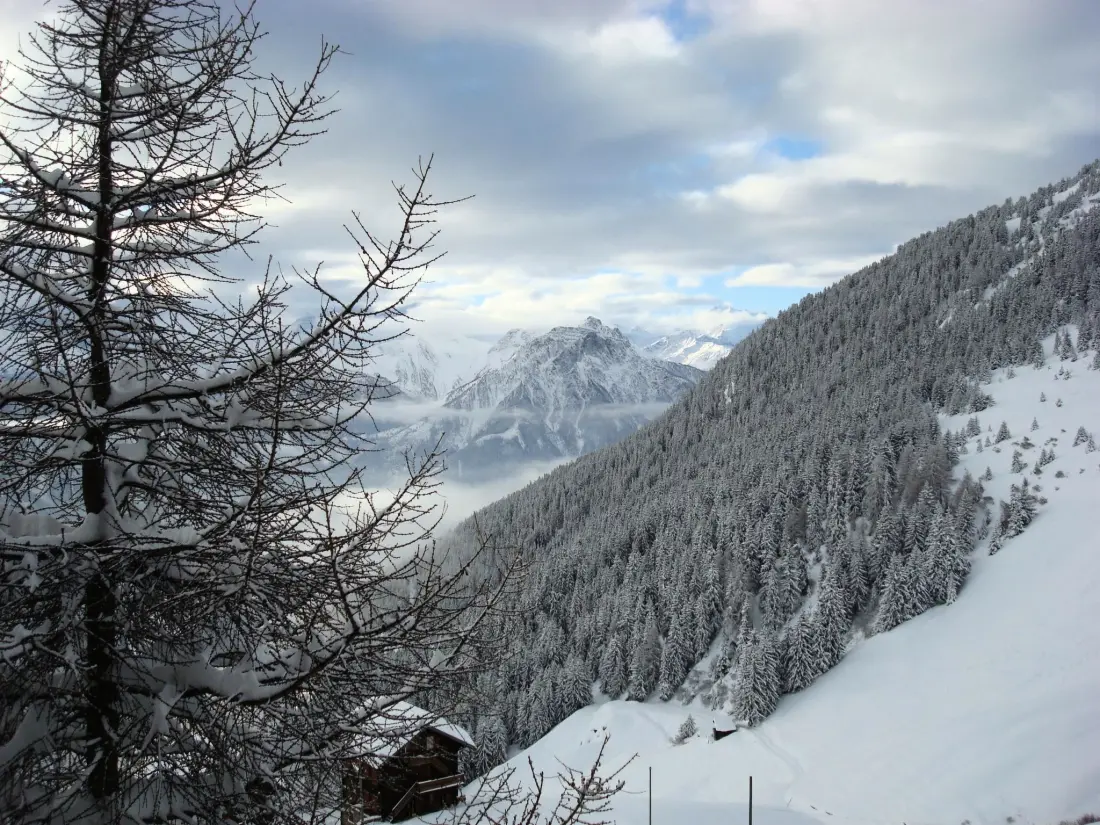 Résidence Almenrausch 1. OG Süd-Ost Appartement/Fewo, Bad, WC