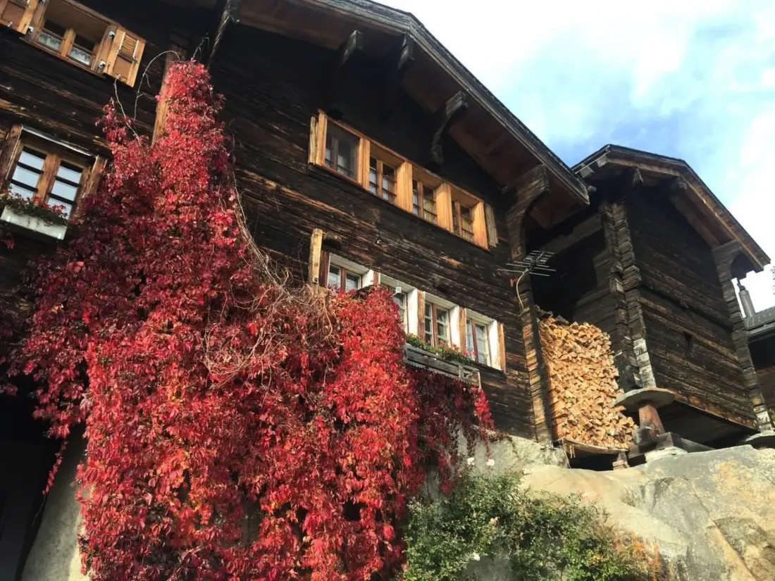 Résidence Amici 1. OG West Appartement/Fewo, Dusche und Bad, WC