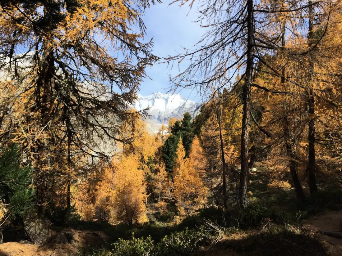 Résidence Amici 1. OG West Appartement/Fewo, Dusche und Bad, WC