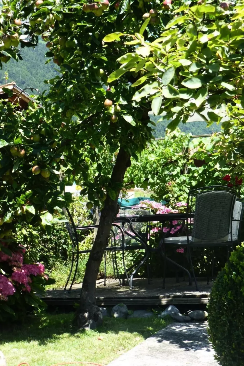 Maison de Vacances Ringgenberg