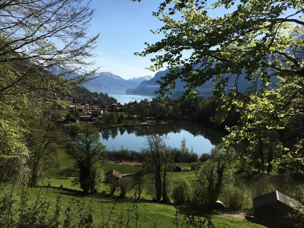 Maison de Vacances Ringgenberg