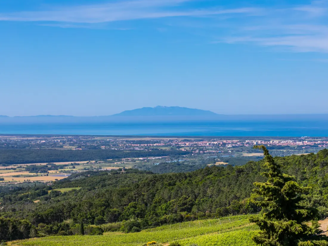 Résidence Poggio di Nocola