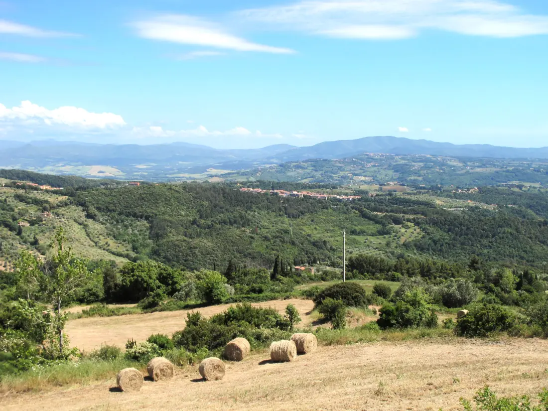 Résidence Poggio di Nocola