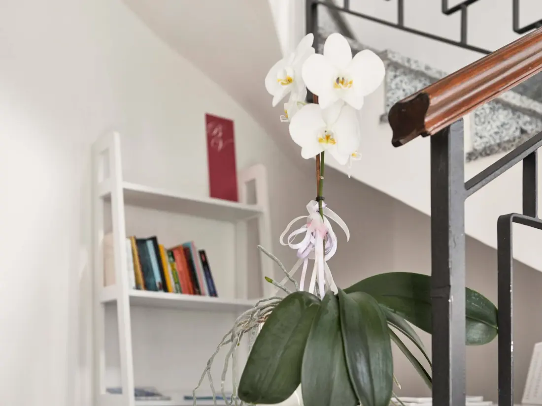 Résidence Schönes Dachgeschosszimmer mit großem Balkon BV5