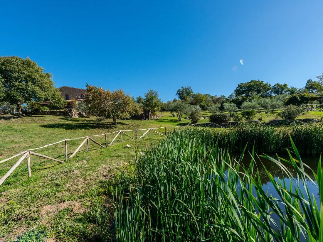Maison de Vacances Roccalbegna