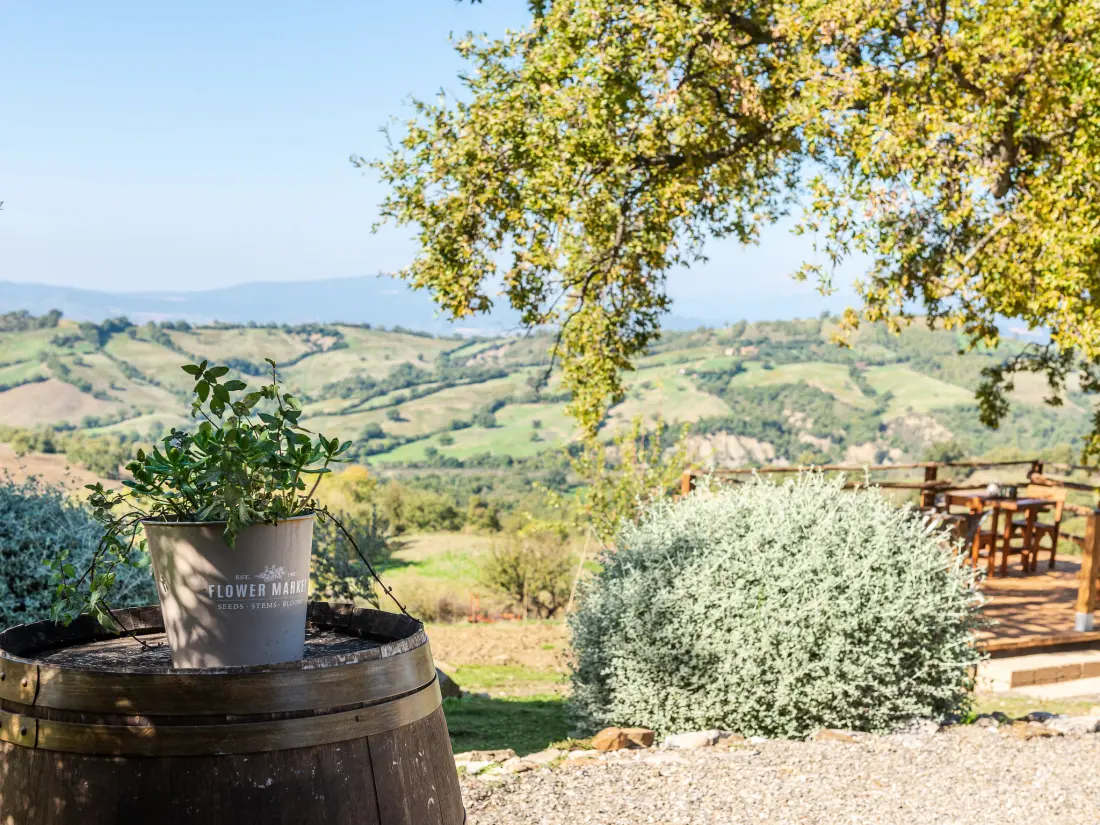 Maison de Vacances Roccalbegna