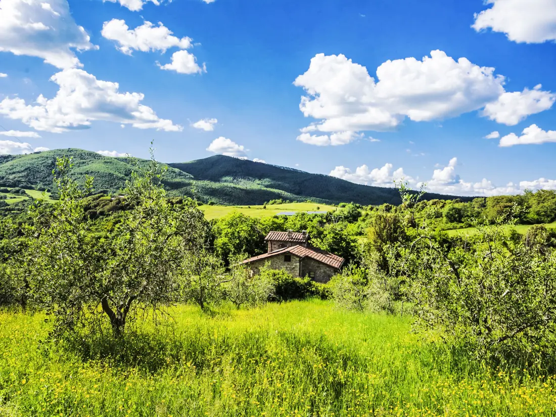 Maison de Vacances Roccastrada