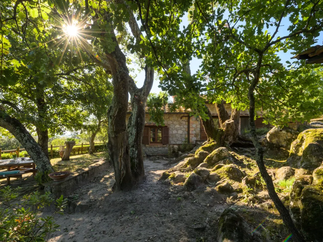 Maison de Vacances Roccastrada