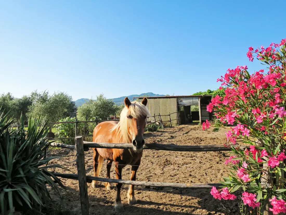Maison de Vacances Roccastrada