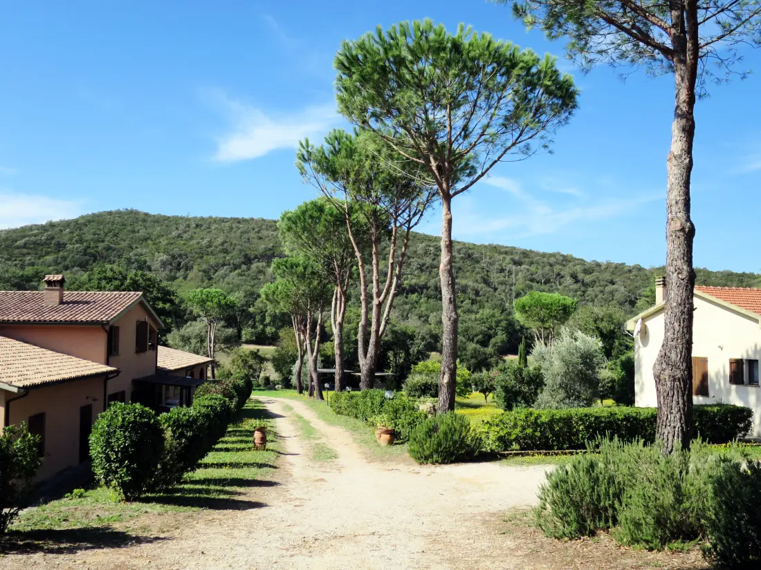 Maison de Vacances Roccastrada