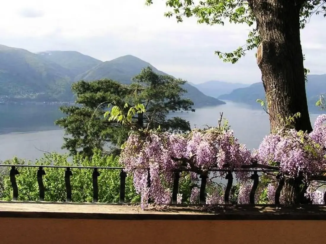 Maison de Vacances Ronco sopra Ascona