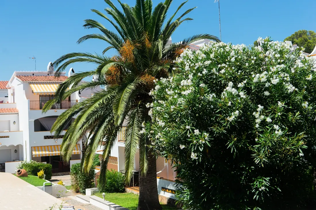 Appartements à Roses