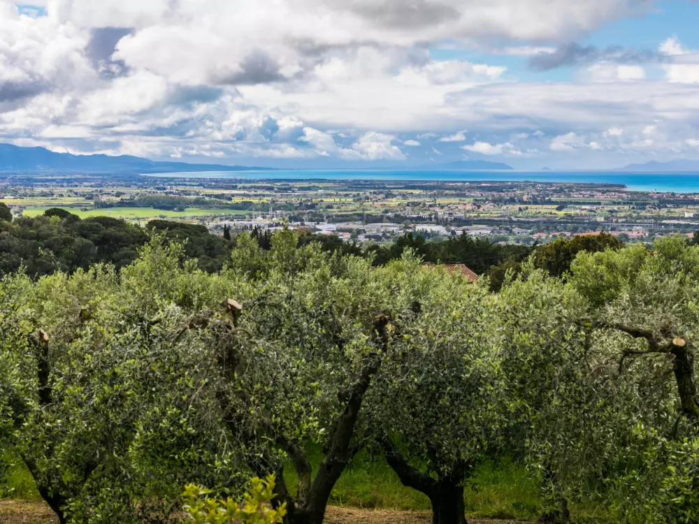 Résidence Podere la Maestà