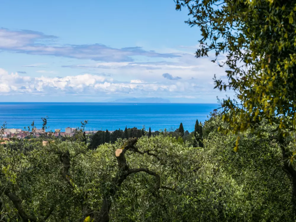Résidence Podere la Maestà