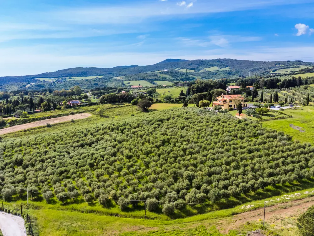 Résidence Podere la Maestà