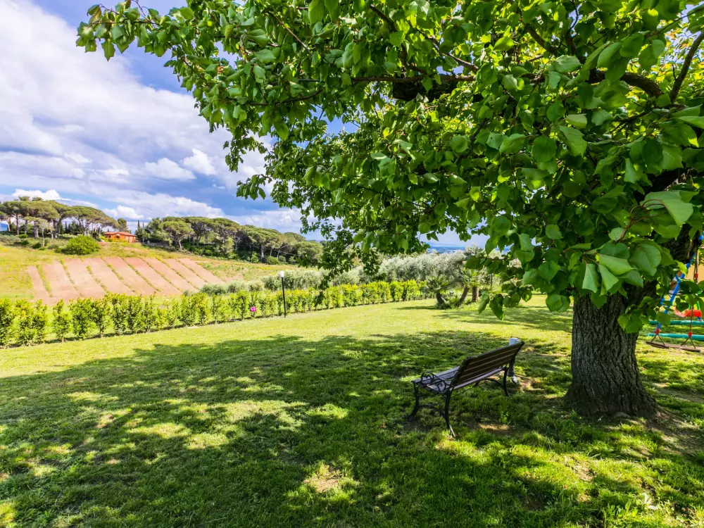 Résidence Podere la Maestà