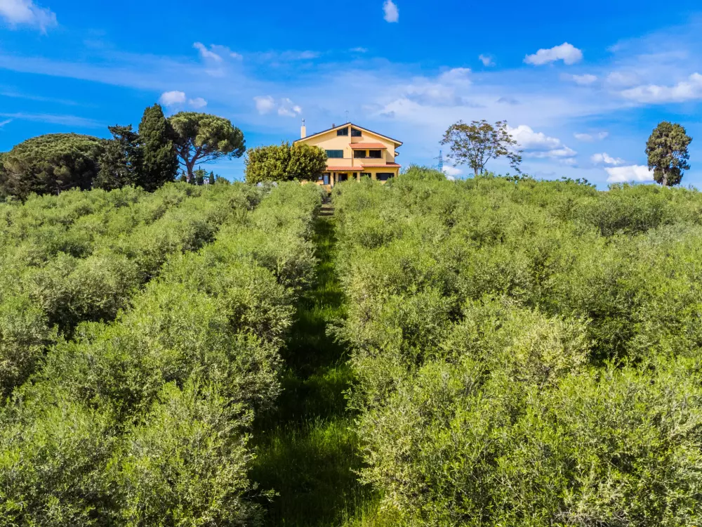 Résidence Podere la Maestà