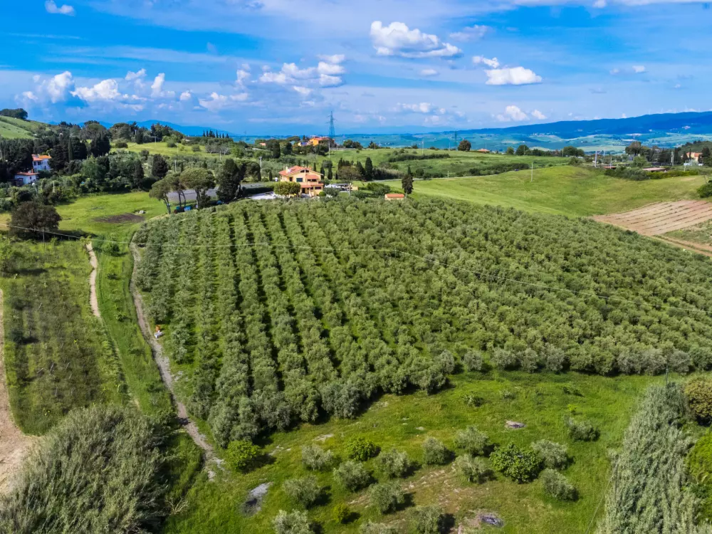 Résidence Podere la Maestà