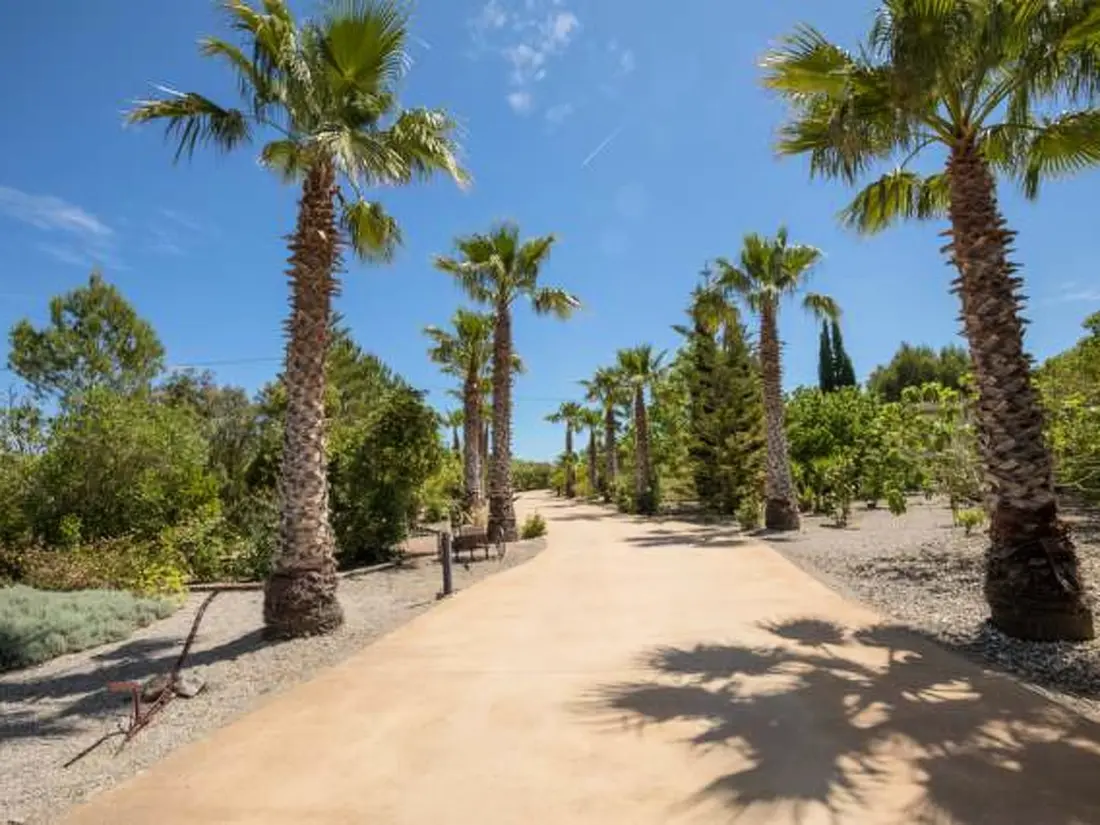 Maison de Vacances Sa Pobla