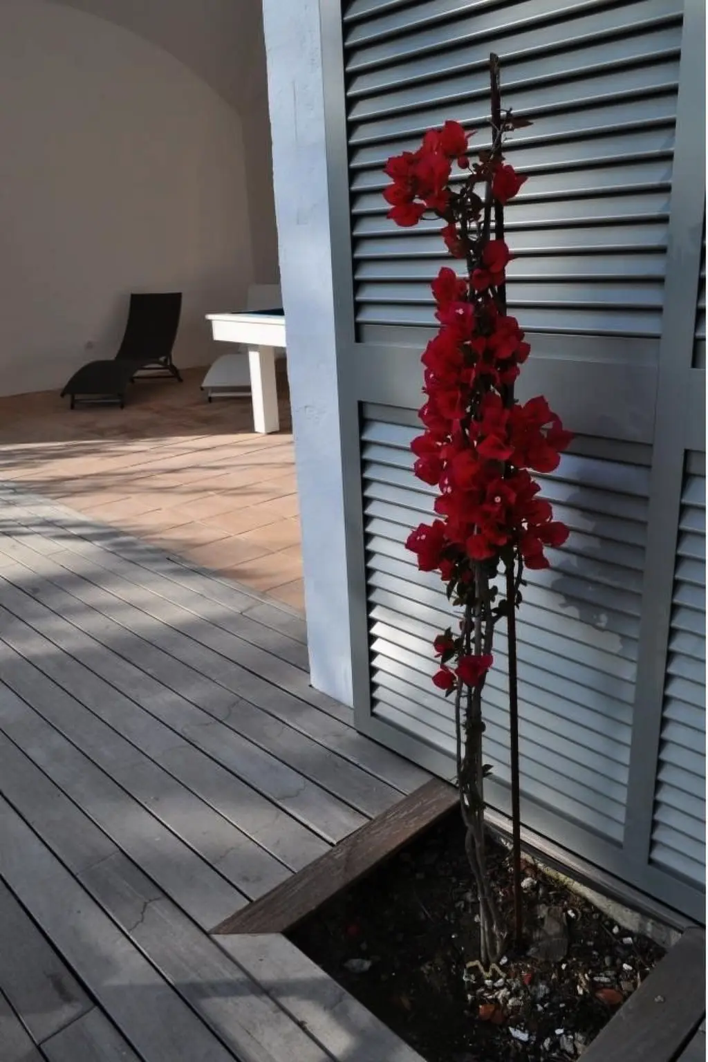 Maison de Vacances Sa Riera
