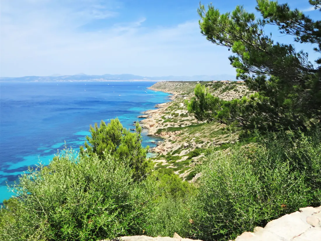 Maison de Vacances Sa Torre. Maioris