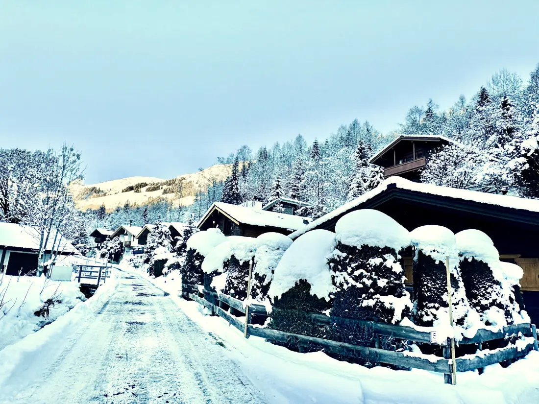 Chalet Saalbach-Hinterglemm
