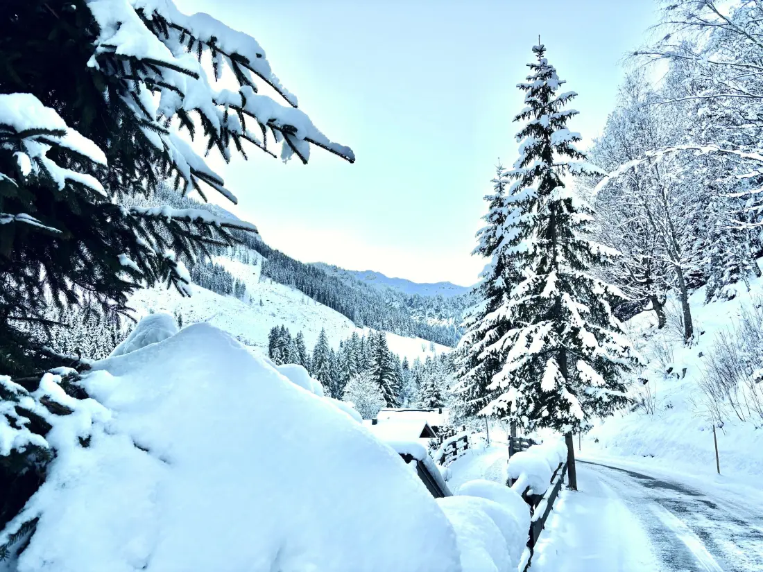 Chalet Saalbach-Hinterglemm