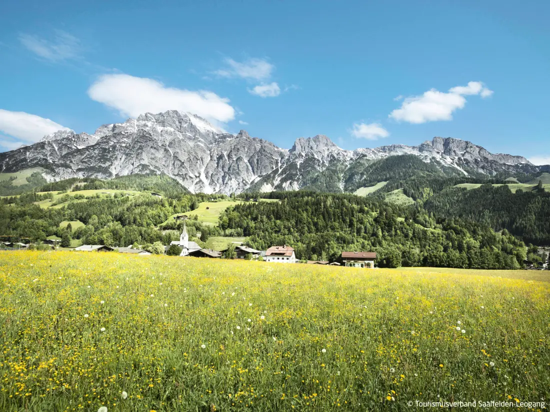 Résidence Sommerstein