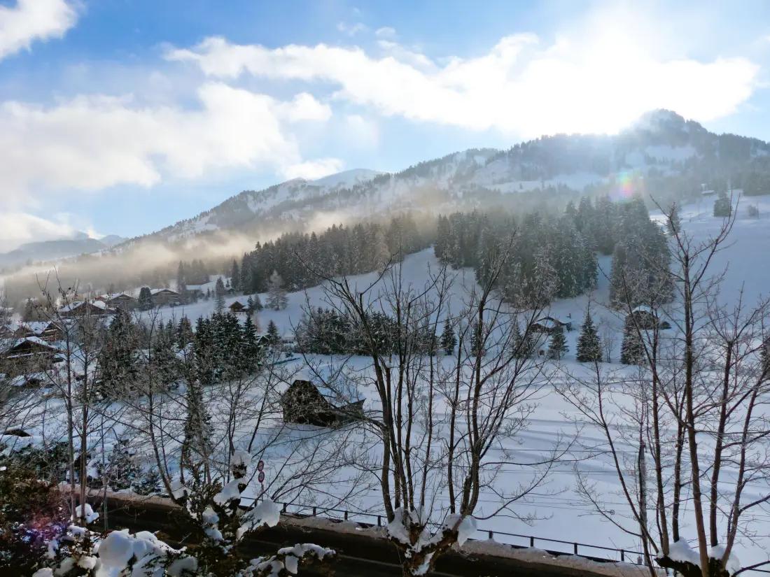 Résidence Chalet Ahorni
