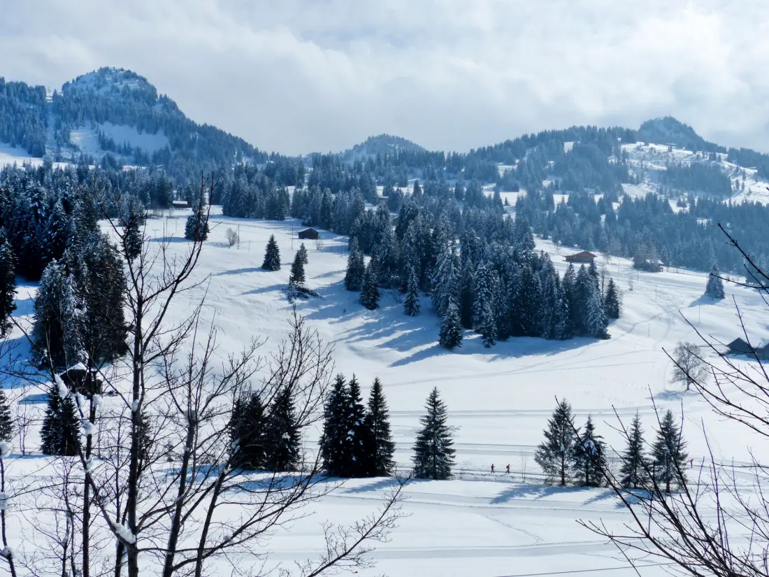 Résidence Chalet Ahorni
