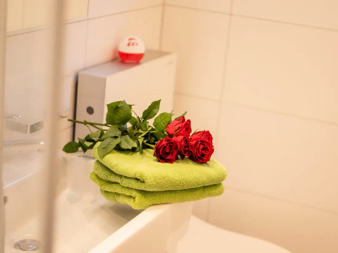 Résidence Amici Appartement/Fewo 4-Bettwohnung