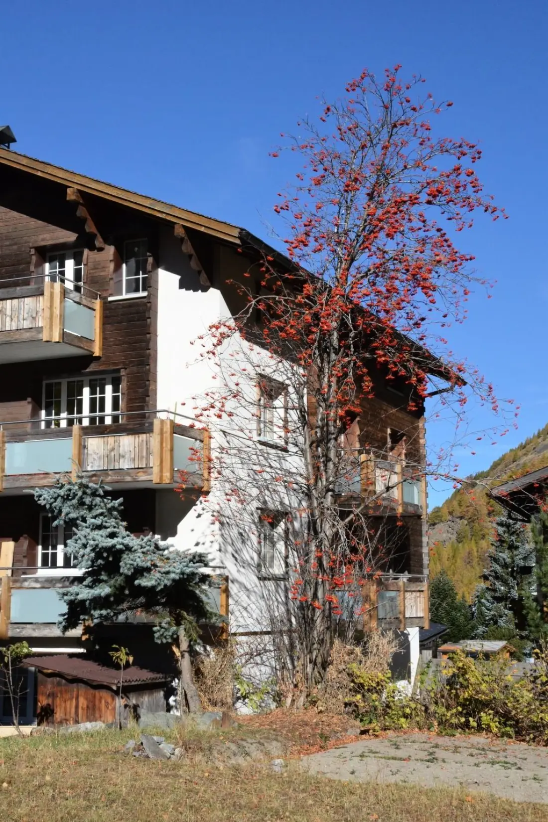 Résidence Alpenperle Appartement/Fewo 6-Bettwohnung