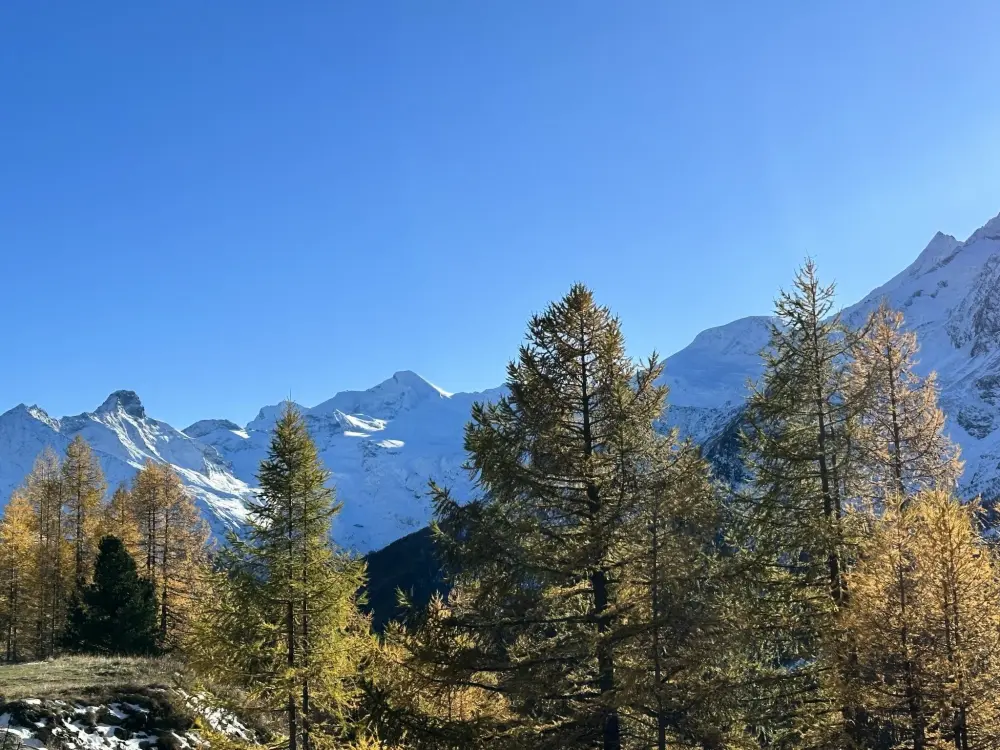 Résidence Bergfreude