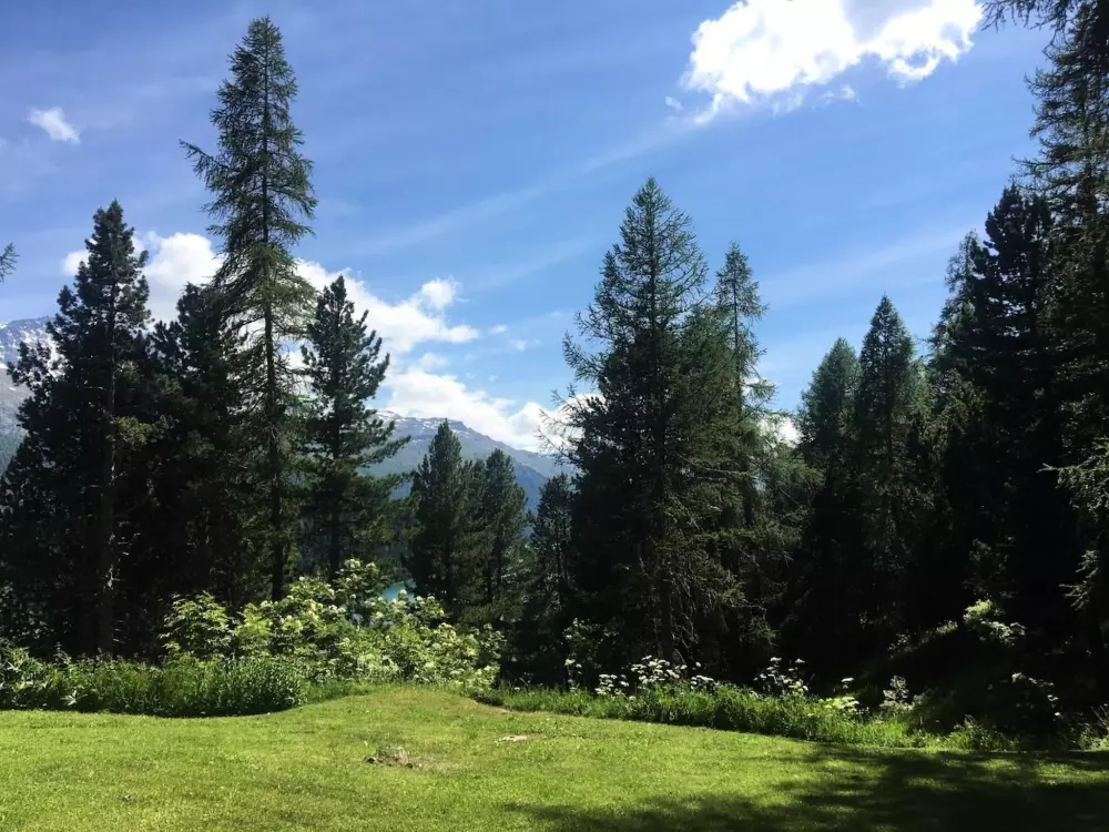 Résidence Chesa Bindschedler