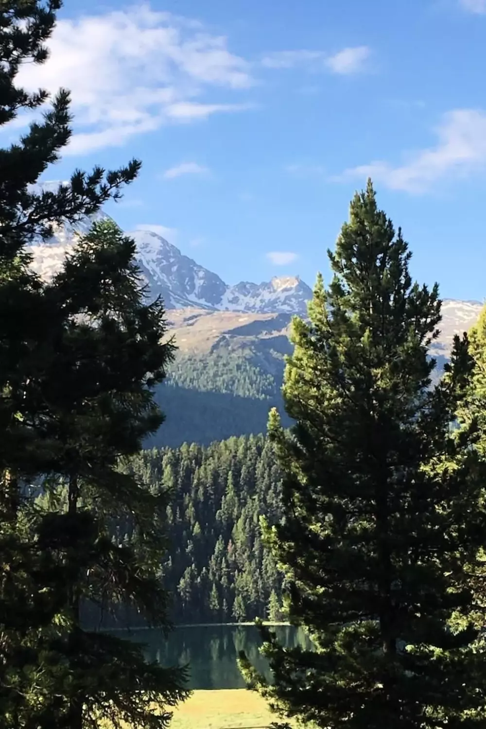 Résidence Chesa Bindschedler