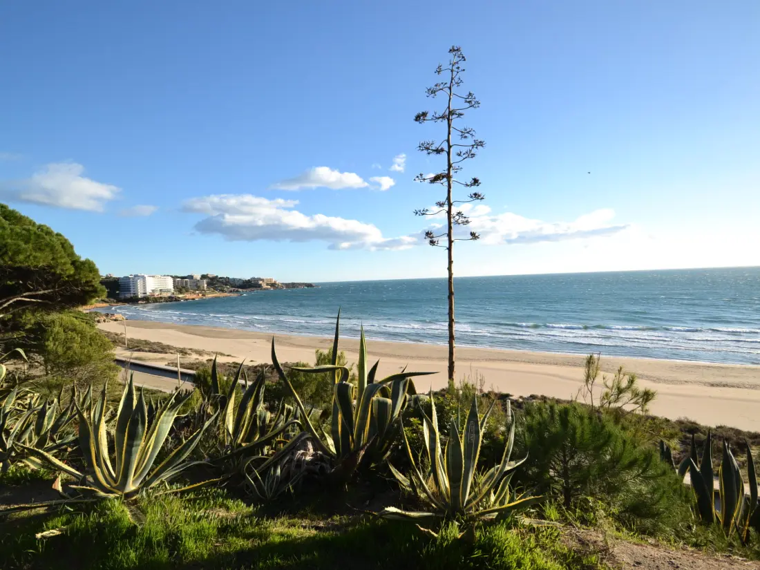 Résidence Gavina Salou