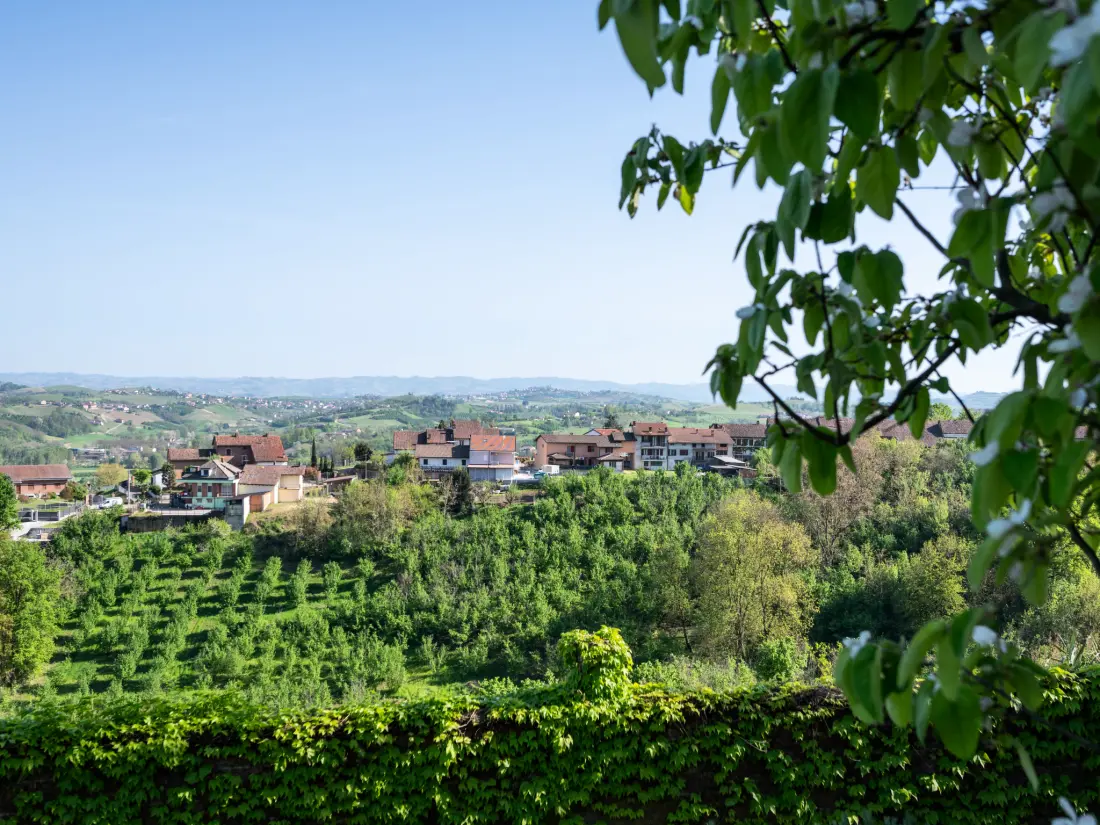 Maison de Vacances San Damiano d'Asti