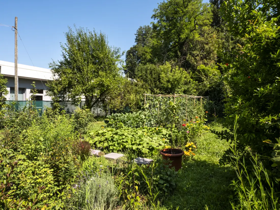 Maison de Vacances San Daniele del Friuli