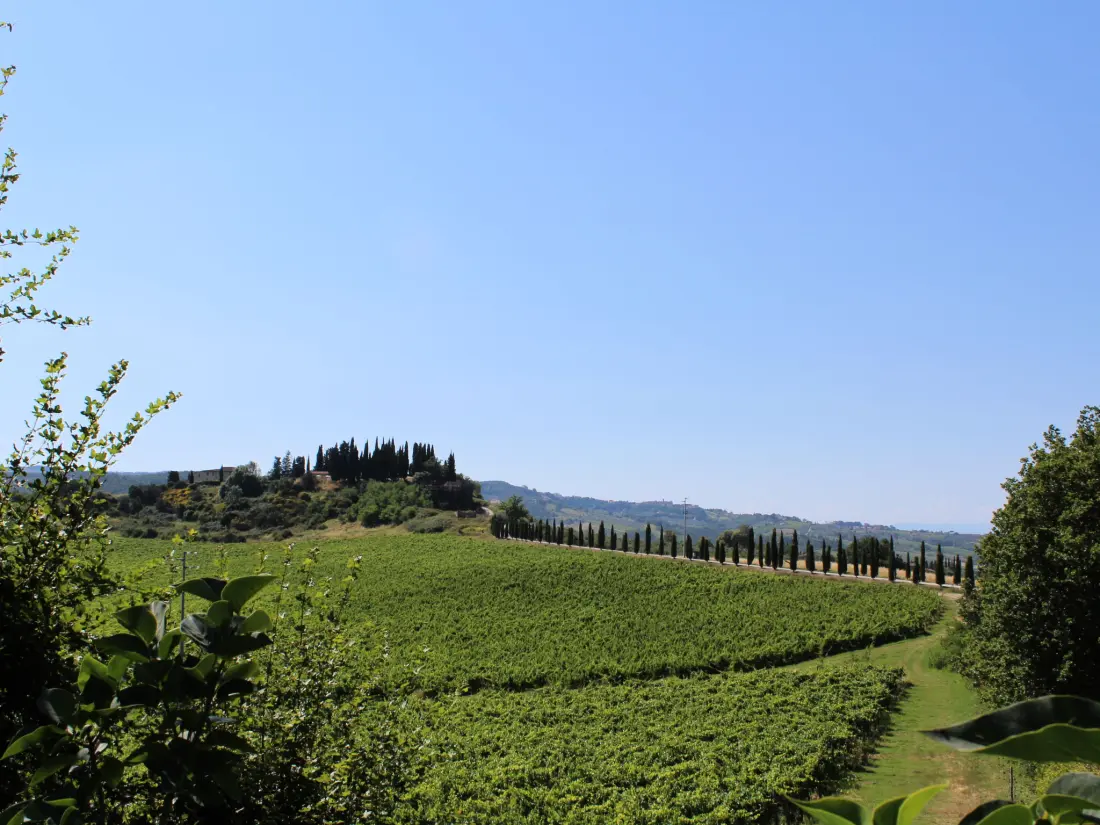 Maison de Vacances San Gimignano