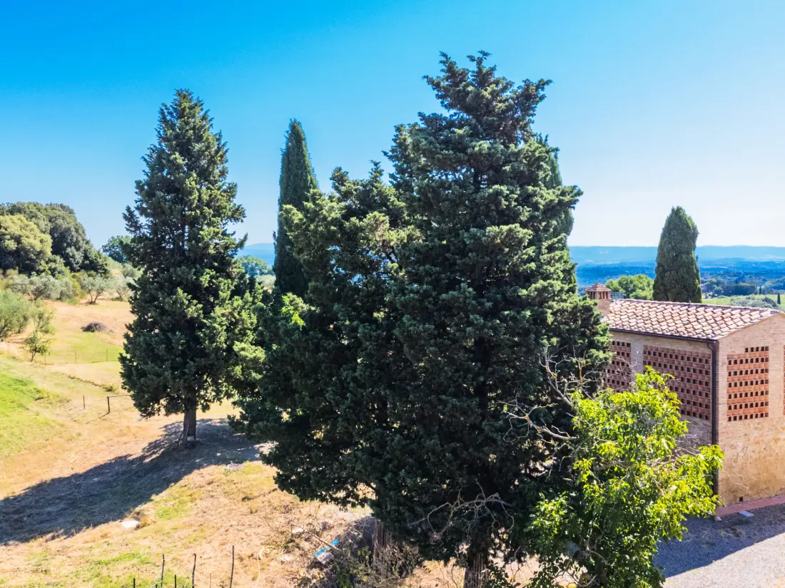 Maison de Vacances San Gimignano